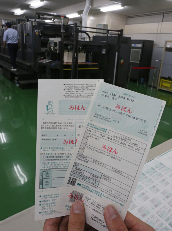 マイナンバーの通知カード（見本）＝国立印刷局で２０１５年１０月２日、山本晋撮影