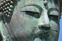 The face of the great Buddha statue at Kotoku-in temple in Kamakura, Kanagawa Prefecture, is seen on March 22, 2016. (Mainichi)