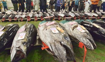 񁗃Q[n[ ver.42465©2ch.net	YouTube>4{ ->摜>133 