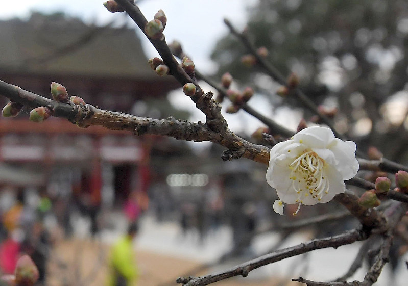 https lh3 googleusercontent com proxy zxfkqh6kjbpwmzn1j3eojfk4vjbvxjoasnldbdssunobdslbge6yjnjv1ejaei kiuzrcjydemk9bciu12hu6ccympykowyjtogtplev0fun8cmfltso9 hxhpfcnfc