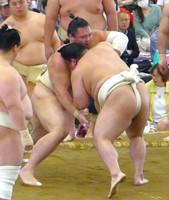 4.jpg