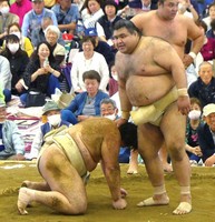 4.jpg