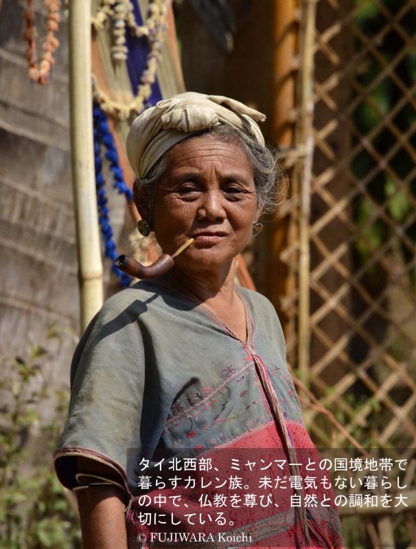 その薬は、かつて1枚の木の葉から作られたのかもしれない | 薬草の森を