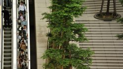 東京都内で＝関口純撮影