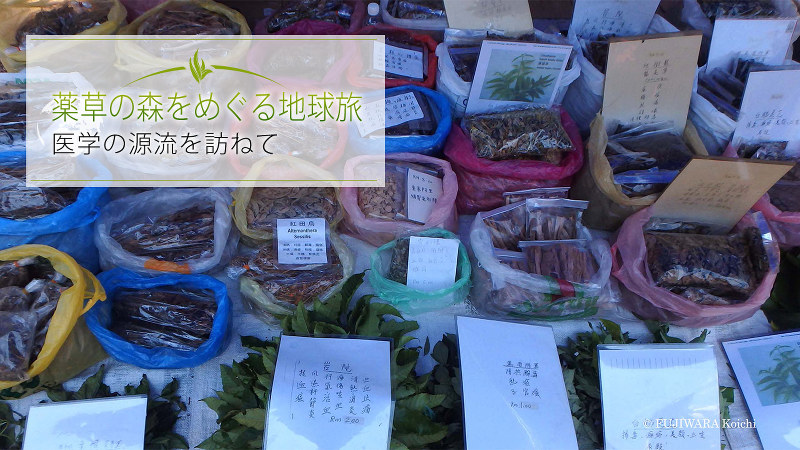 露天市場に所狭しと並べられた中医薬。それぞれの薬に中国語の説明書きがあり、あらゆる病気に効果があるのだと思ってしまうほどの薬効が示されている。