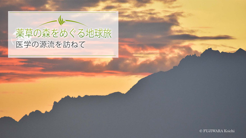 マレーシア最高峰、キナバル山の夕景。標高4095m。富士山よりも高い