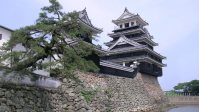 黒田官兵衛が築いた中津城＝大分県中津市