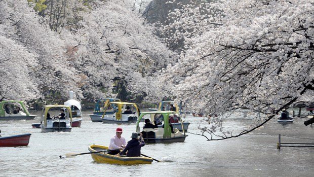 作品に登場する井の頭公園=東京都武蔵野市