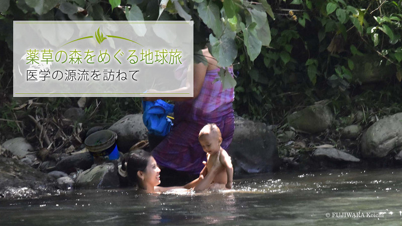 夕暮れ前、森を流れる清流で洗濯と体を洗う村人たち。森から食や薬を得て、川で体を清め、自然からの恵みと共に暮らしている