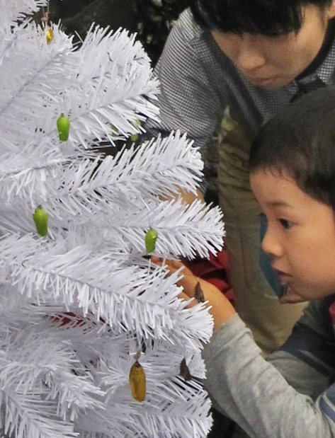 クリスマスツリー 兵庫県伊丹市に 羽ばたくかも 登場 毎日新聞