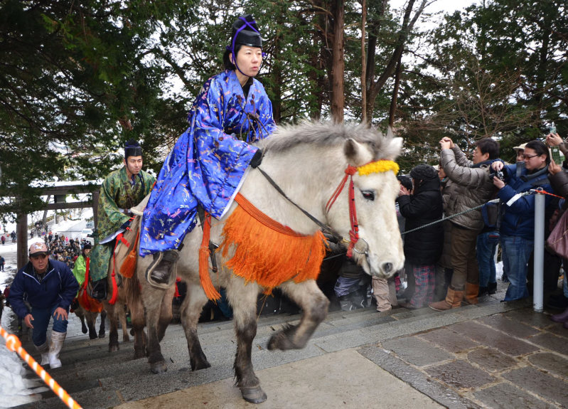 参拝客が見守る中、函館八幡宮の境内を駆け上がるドサンコ=函館市で2016年1月2日午後0時6分、遠藤修平撮影
