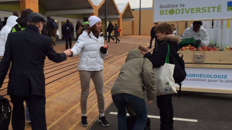 COP21の会場前では、地元産のリンゴを交渉関係者や記者に振る舞うサービスも行われた=坂井隆之撮影