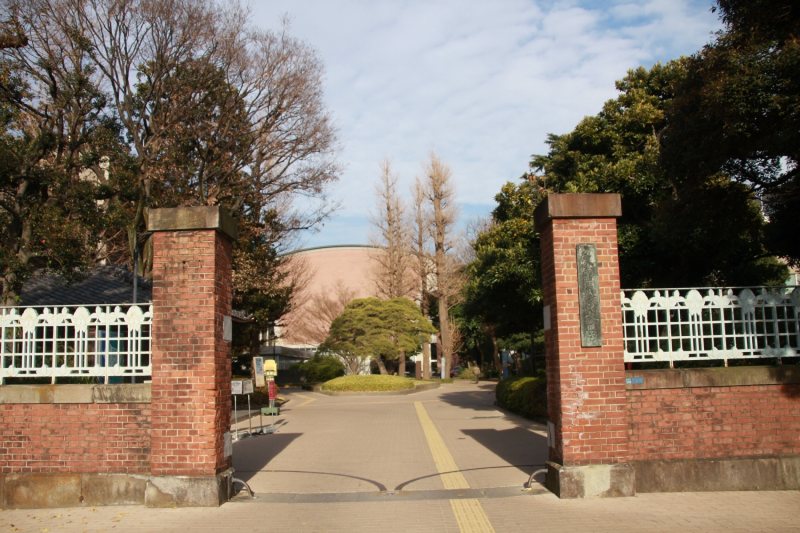 大学への道：東京芸術大学（JR上野駅から） [写真特集32/32] | 毎日新聞