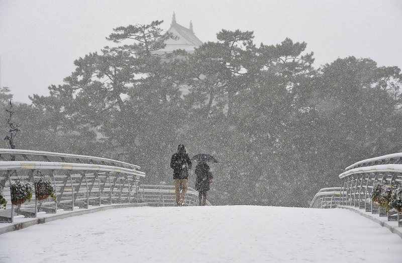 大雪：九州の雪景色 [写真特集1/17] | 毎日新聞