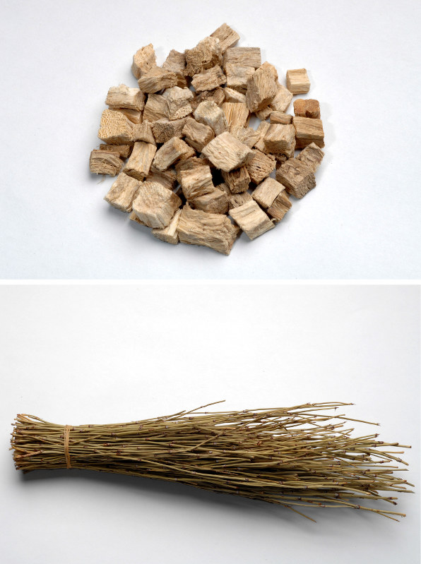 葛根(上)と麻黄(下)の生薬(漢方薬の材料になる天然由来の薬)=中村琢磨撮影