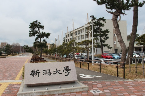 新潟大学