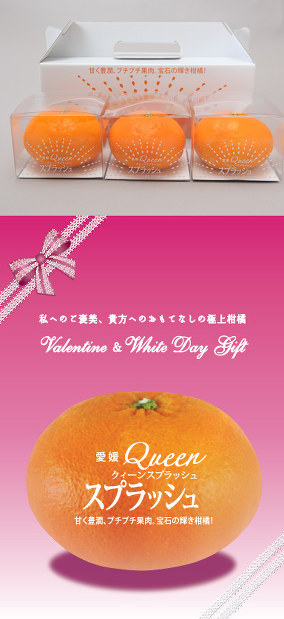 愛媛みかん：1個1600円 新ブランドでバレンタイン商戦参入 | 毎日新聞