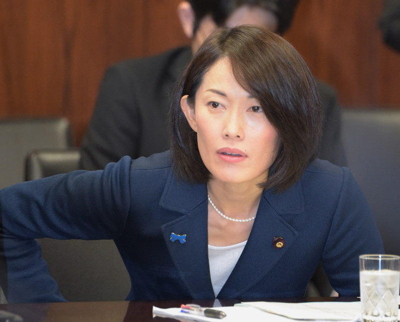 参院環境委員会の閉会中審査に臨む丸川珠代環境相=国会内で2015年12月18日午後1時29分、藤井太郎撮影