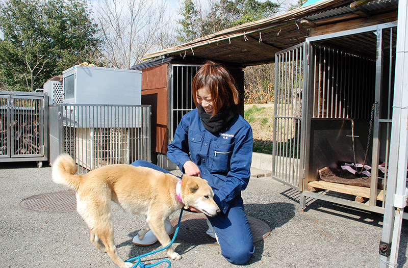 最も共有された 神山 動物 愛護 センター 神山 動物 愛護 センター 譲渡 動物 猫 Jpkabegamiakuwolu
