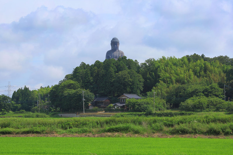 日本ワタシ遺産：登録No.01 牛久大仏（茨城県牛久市）＝写真・文 半田