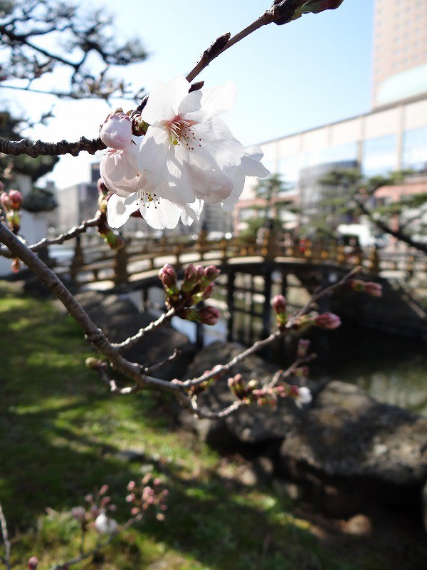 写真特集23 171 毎日新聞