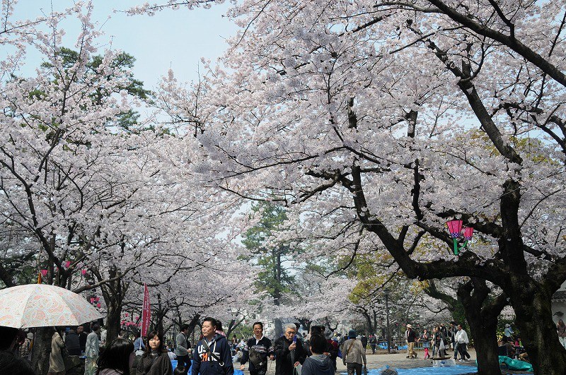 写真特集64 171 毎日新聞