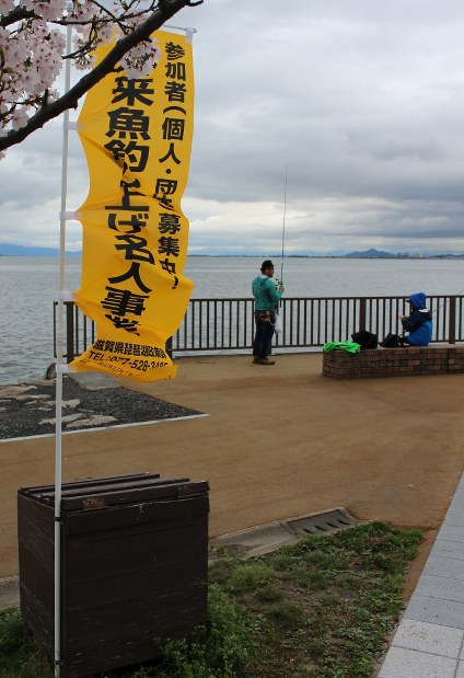 琵琶湖 ブラックバス 食べて駆除 毎日新聞