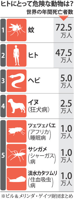ヒトにとって危険な動物は?
