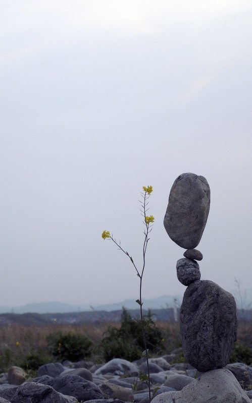 作品は石積みアート「ロックバランシング」の石花ちとくさん