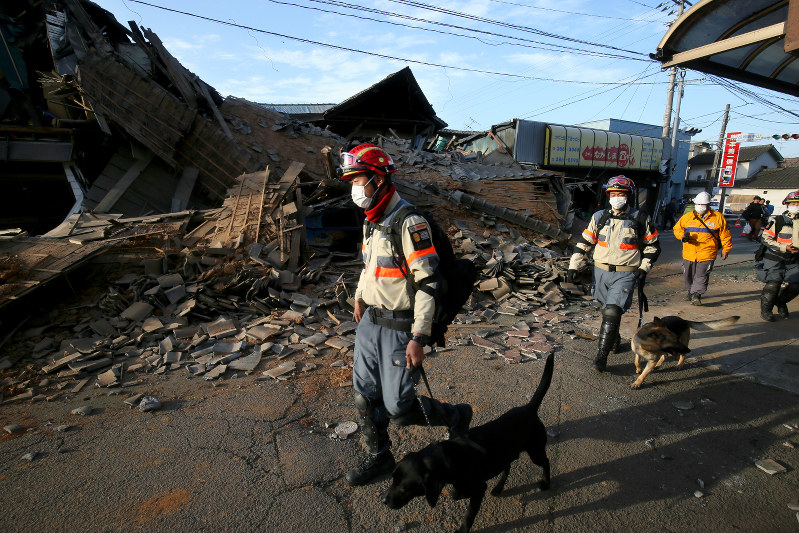 未明から続く地震で新たに倒壊した家屋のそばを通る救助犬=熊本県益城町で2016年4月16日午前6時57分、森田剛史撮影