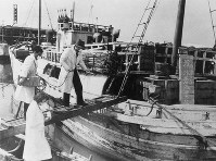 ビキニ環礁の周辺海域でマグロ漁の操業中、放射能被害を受けた第五福竜丸＝１９５４年３月１４日