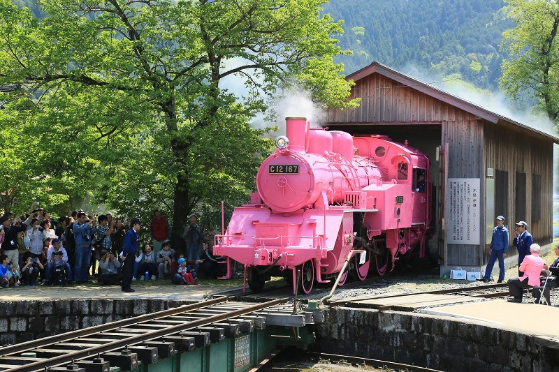 若桜鉄道：ピンク色のSLを「恋の日」にお披露目 鳥取 [写真特集30/34