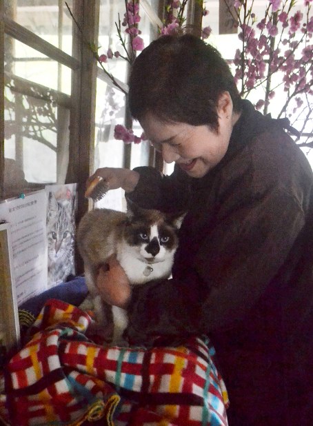 JR肥薩線：嘉例川駅の「ニャン太郎」、観光大使に | 毎日新聞