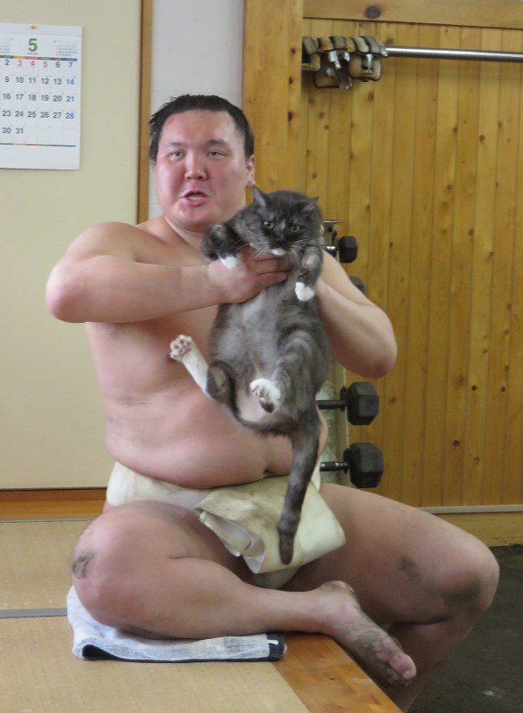 大相撲 白鵬 猫だまし にあった 毎日新聞