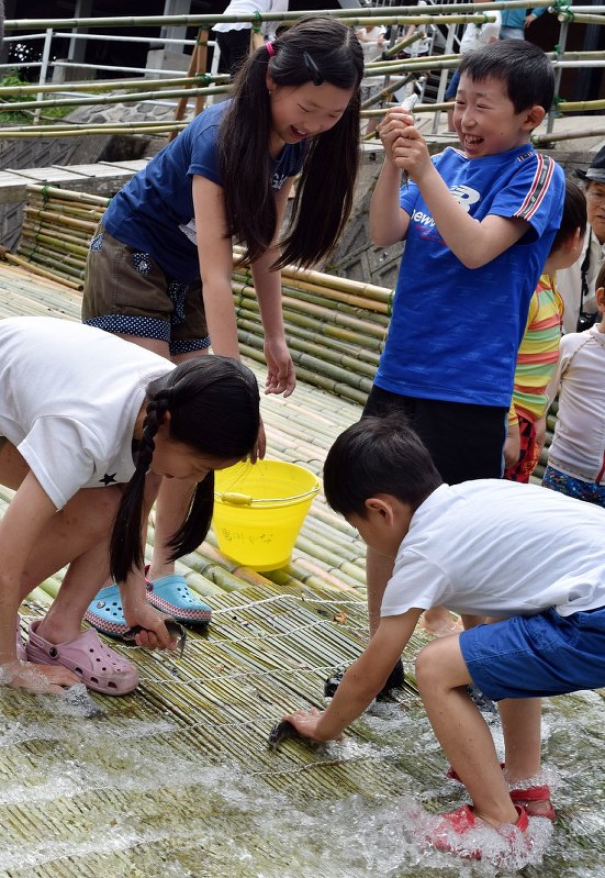 やな開き アユつかみ取りに歓声 愛知 岡崎の男川 毎日新聞