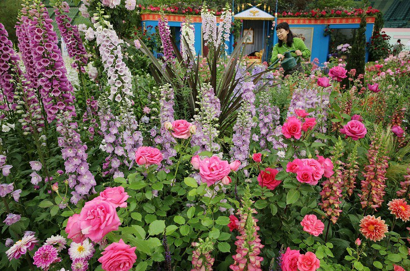 バラとガーデニングショウ 香り １００万輪が競演 写真特集1 5 毎日新聞