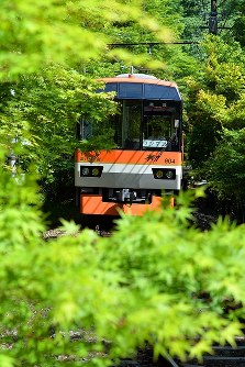 新緑： はんなり叡山電車 [写真特集3/3] | 毎日新聞