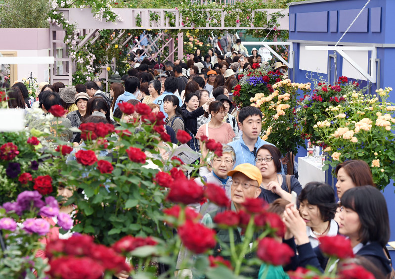 国際バラとガーデニングショウ １００万輪 一般公開 毎日新聞