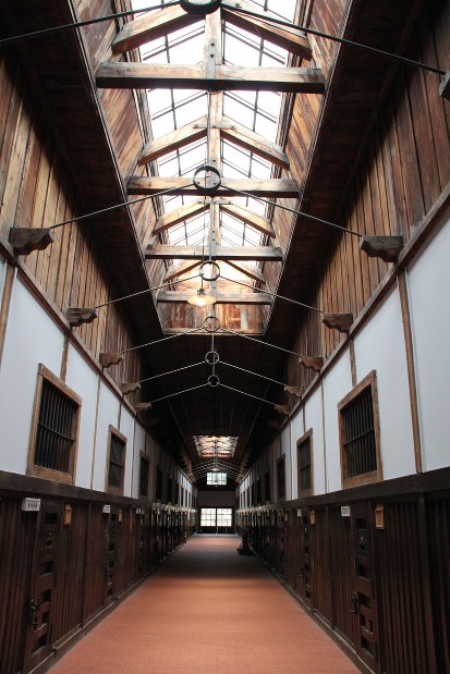北海道集治監論考　網走監獄保存財団/編　光文堂 北海道集治監論考 網走監獄保存財団/編 光文堂 監獄図書