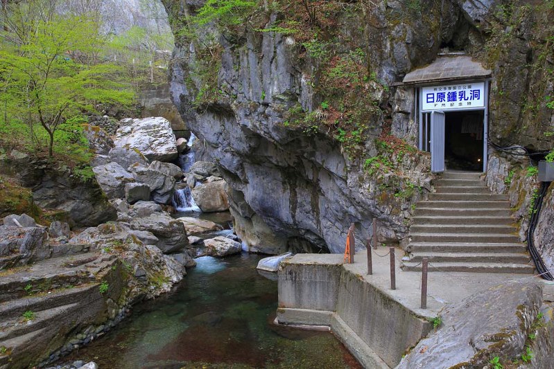 写真・半田カメラ