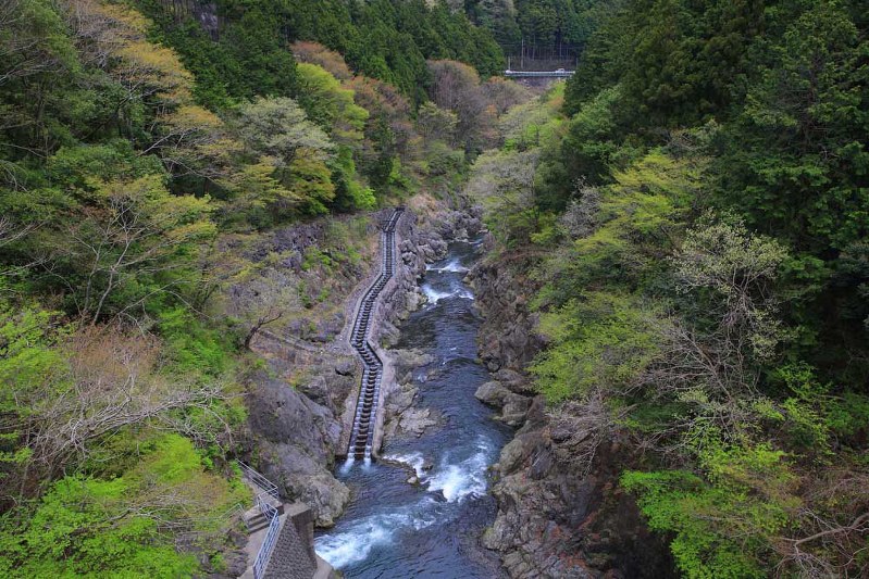 写真・半田カメラ