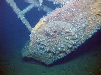 戦艦「大和」：菊の紋章も…海中映像を公開 広島・呉市 [写真特集1/3