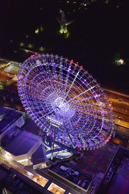 エキスポシティ：日本一高い観覧車お披露目 7月から営業 [写真特集5/5