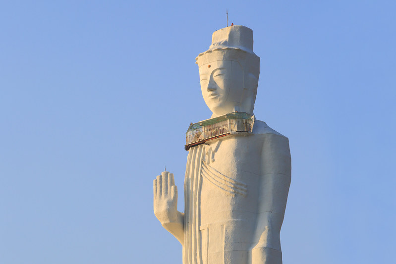 写真・半田カメラ