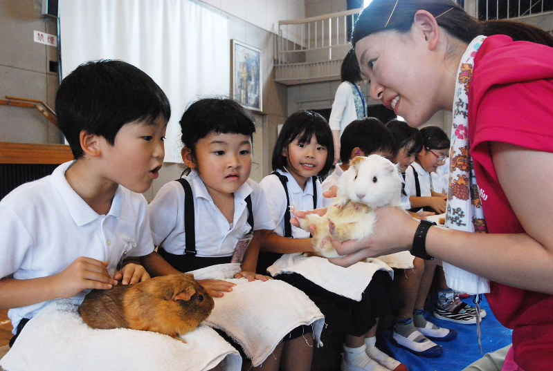 移動動物園でモルモットを手に子どもたちとの会話を楽しむ熊本市動植物園の職員=熊本市中央区の市立春竹小学校で2016年7月4日午前10時5分、中里顕撮影