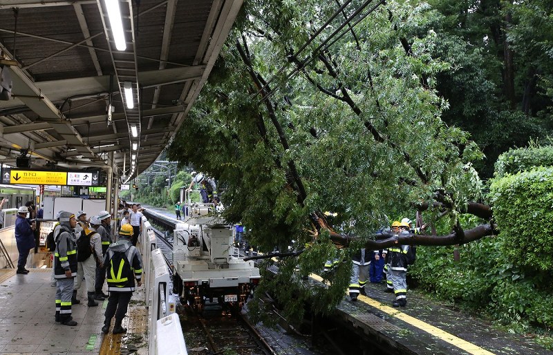 台風9号：千葉・館山に上陸 各地で大雨 [写真特集18/17] | 毎日新聞