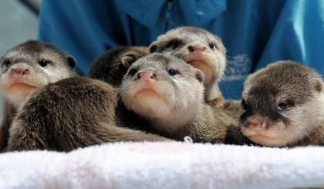 毎日動物園 かわいいどうぶつたち 写真特集119 248 毎日新聞