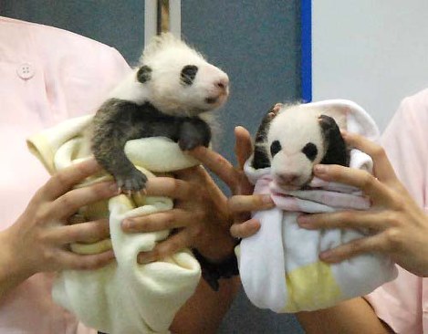 毎日動物園 かわいいどうぶつたち 写真特集154 248 毎日新聞
