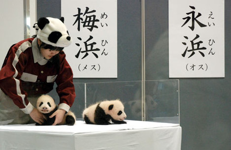 毎日動物園 かわいいどうぶつたち 写真特集159 248 毎日新聞