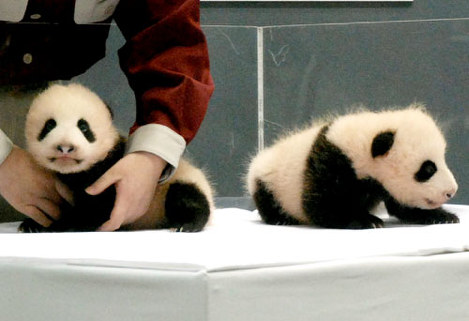 毎日動物園 かわいいどうぶつたち 写真特集160 248 毎日新聞